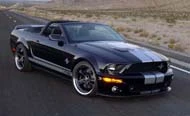 shelby_inline.webp