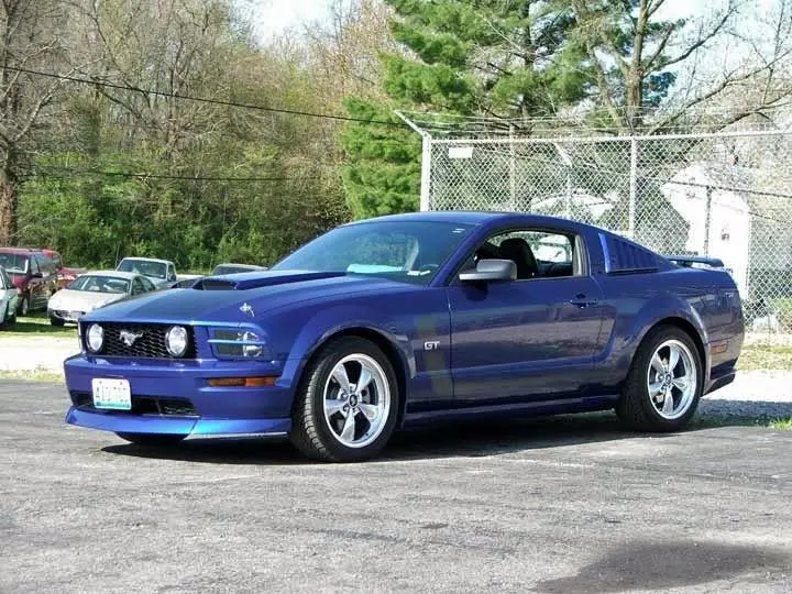 ShelbyFest13_edited.webp