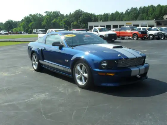 shelbygt.webp