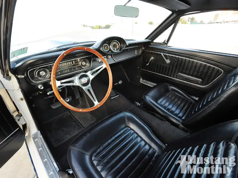 shelbyinterior.webp