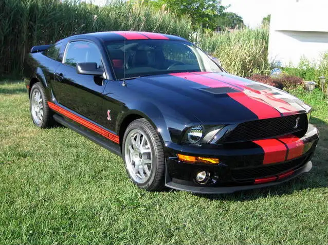 ShelbyJuly31st003-1-1.webp