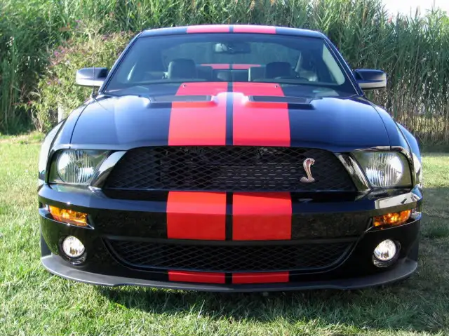 ShelbyJuly31st010-1-1.webp