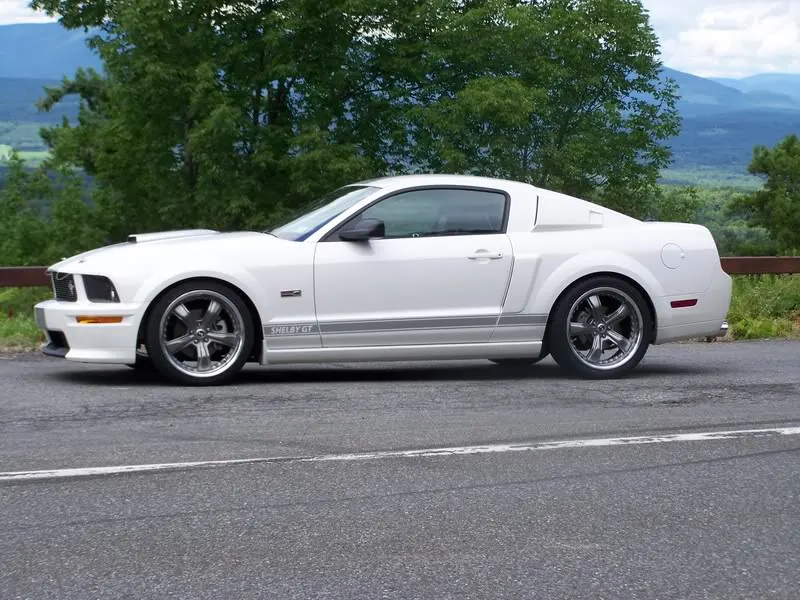Shelbywrazorsandscoops004.webp