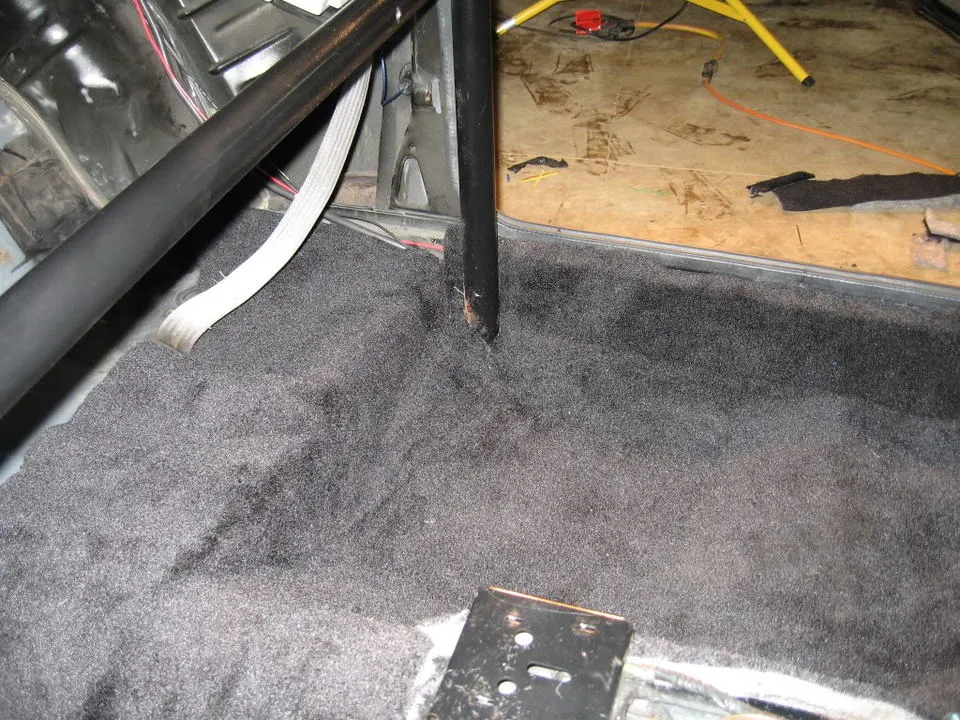 SHELLEYPASSPORTPICS031.webp