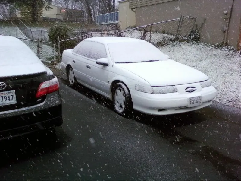 sho.webp