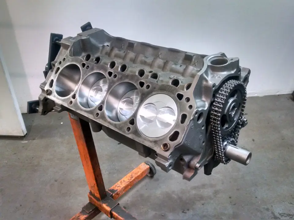 short block.webp