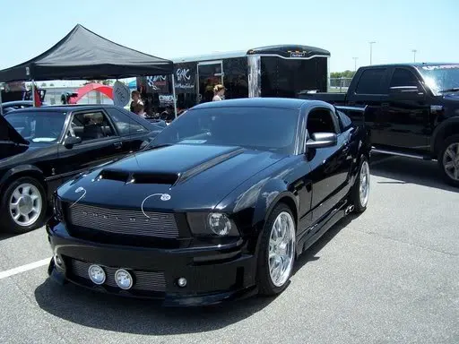 showbmcbestofshow.webp