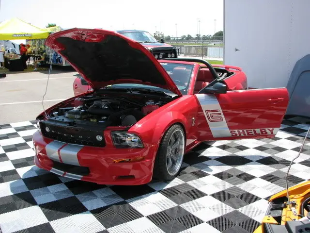 ShowTampaBayShelby.webp