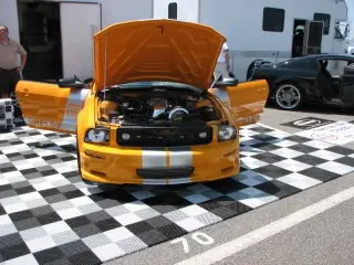 ShowTampaBayShelby2.webp