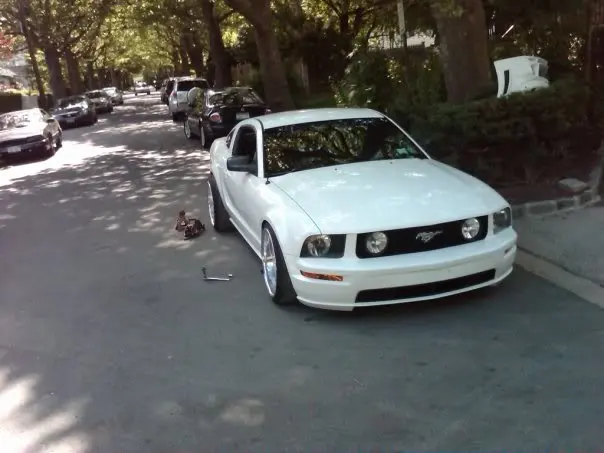 sick3.webp
