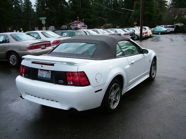 side,back view of d 1999 GT Ford Mustang.webp