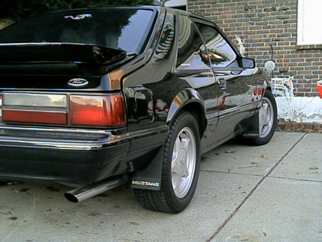 Side.webp