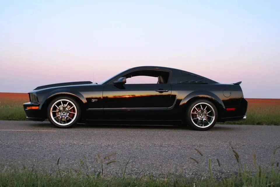 sideprofile006.webp