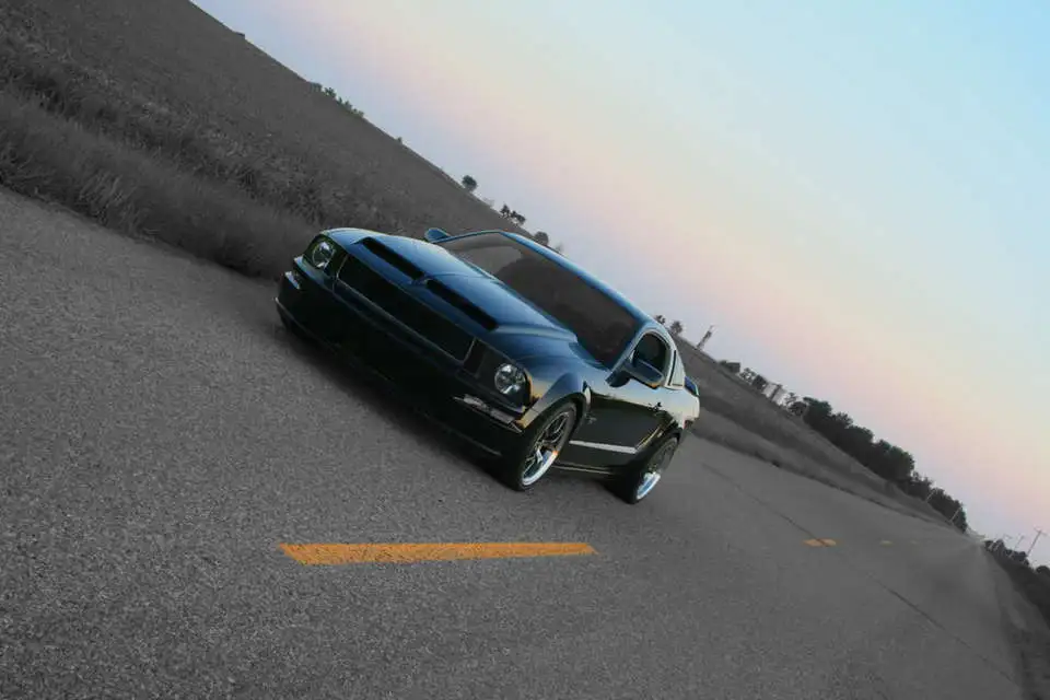 sideprofile014.webp