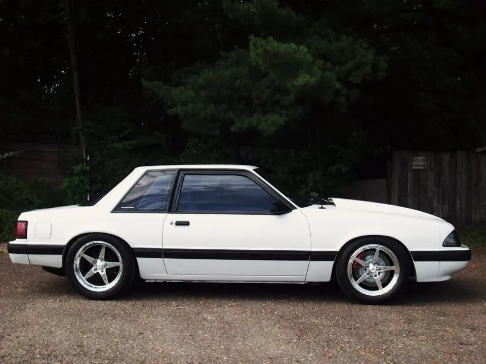 sideshot.webp