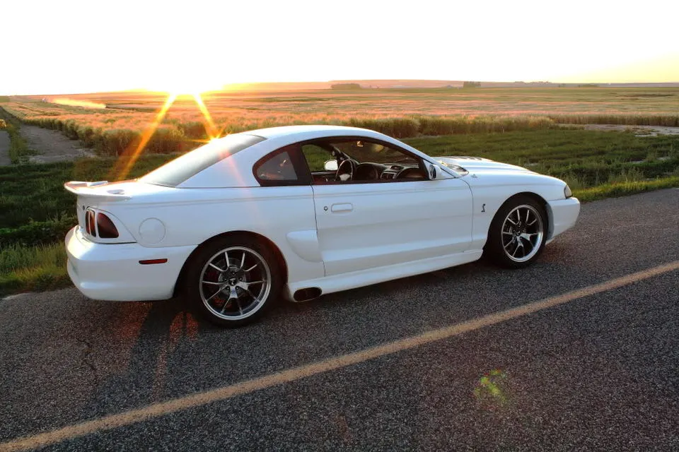 SIDESHOT.webp