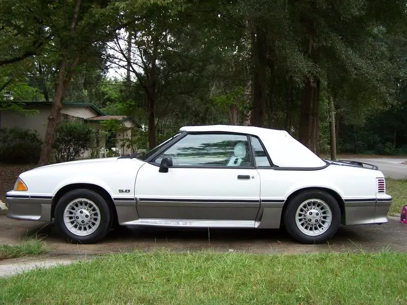SideView.webp