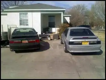 silverstang6.webp