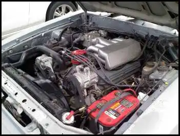 silverstang7.webp