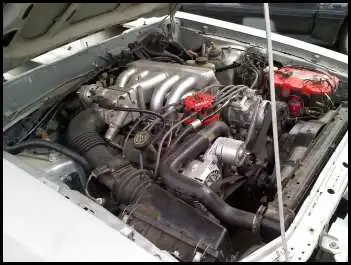 silverstang8.webp