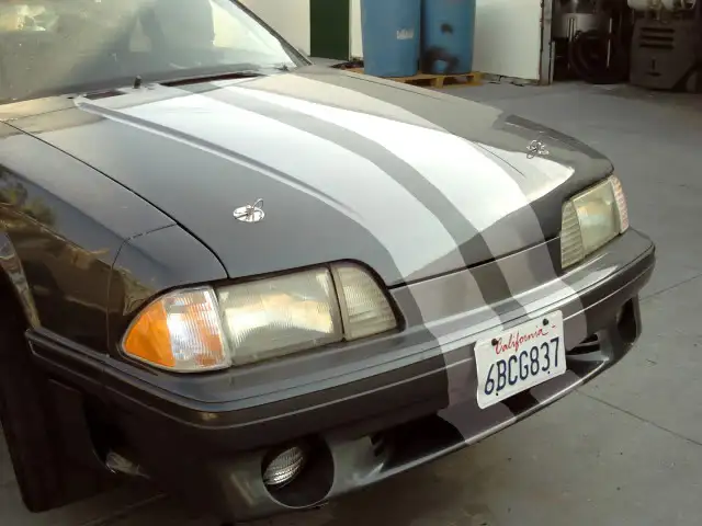 silvstripes.webp