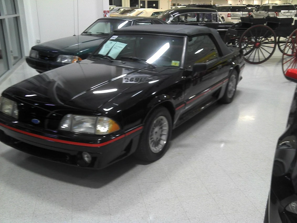 sistercar.webp