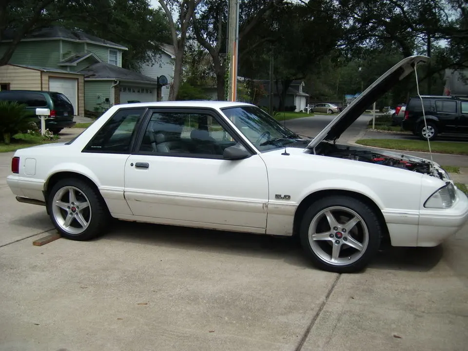 SL730037.webp