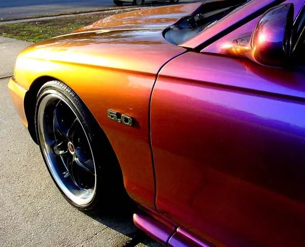 slammed2.webp
