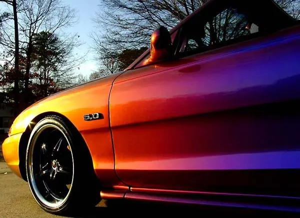 slammed3.webp