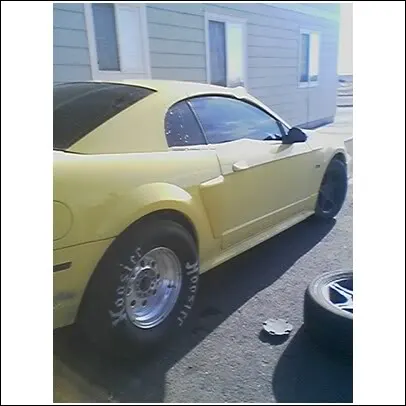 slicks1.webp