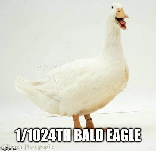 Smiley Duck 1-1024th Bald Eagle.webp