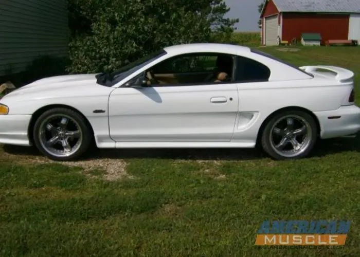 sn95.webp