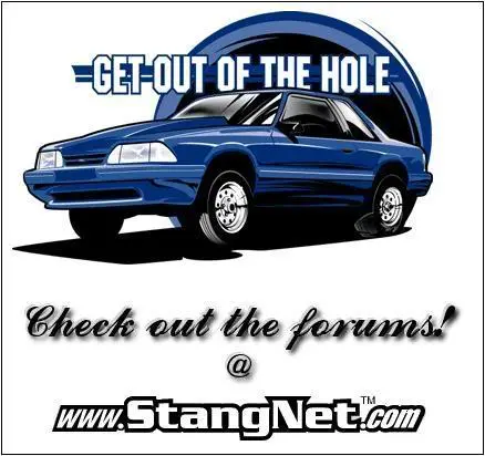 sn_flyer.webp