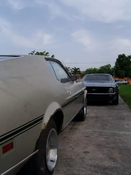 SNC11981.webp