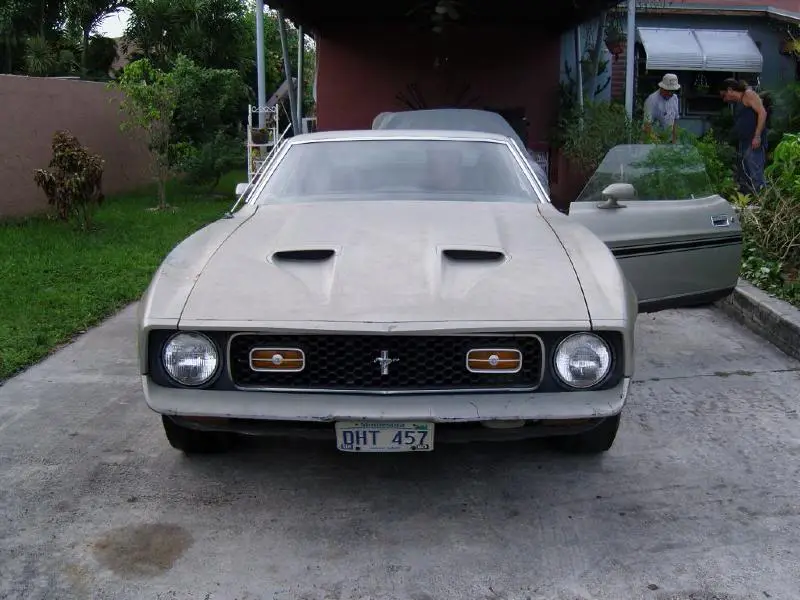 SNC11982.webp