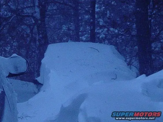 snow%20stang.webp
