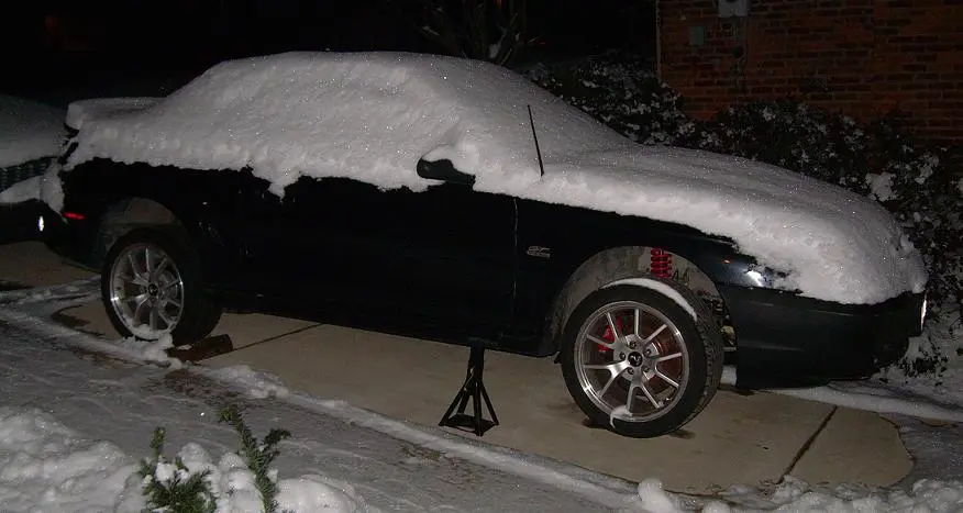 snow.webp