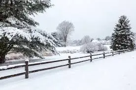 snow.webp