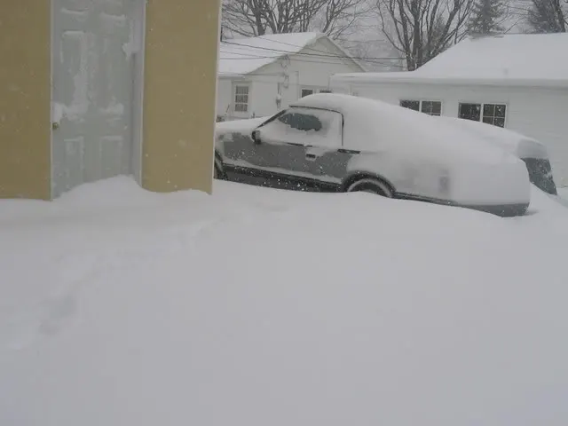 snow014.webp