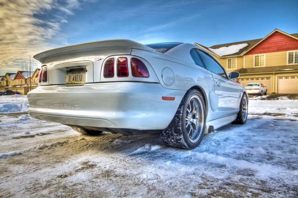 snowcobra.webp
