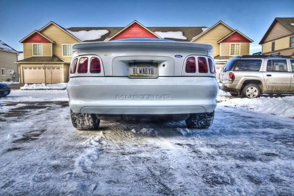 snowcobraback.webp