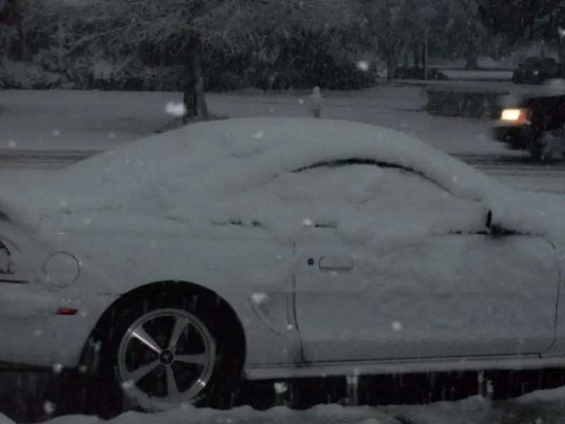 SnowDay004.webp