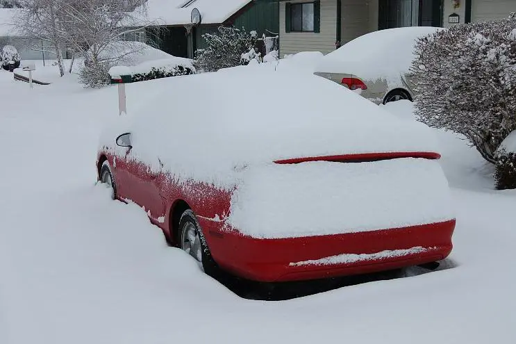 SnowDec08a.webp