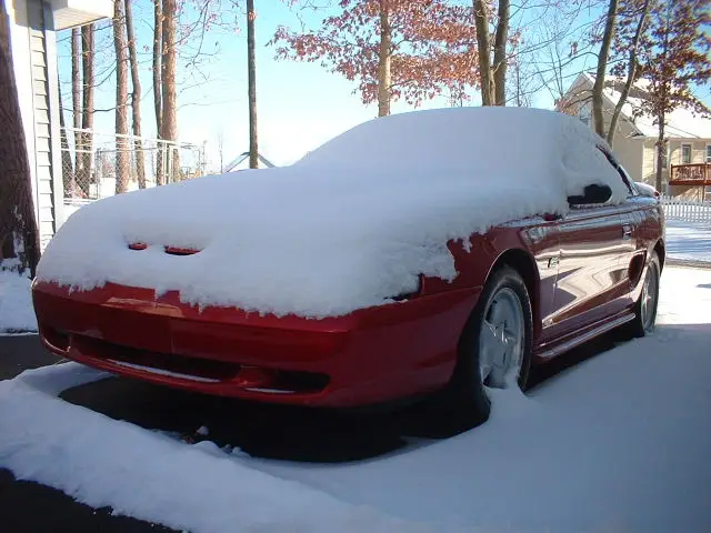 snowed_in_stang.webp