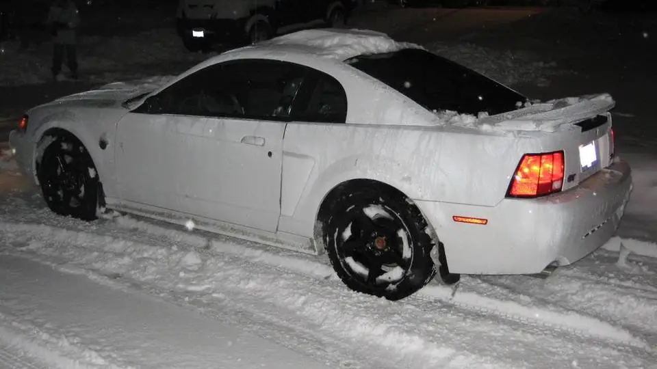 Snowmustangphoto.webp