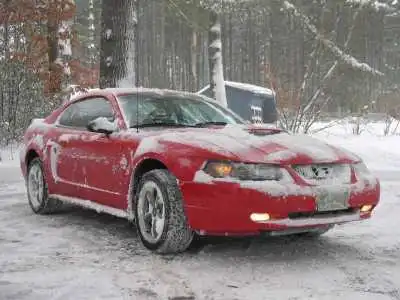 SnowPony_400.webp