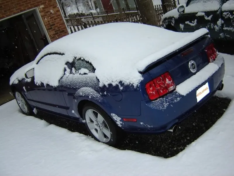 SnowStang4.webp