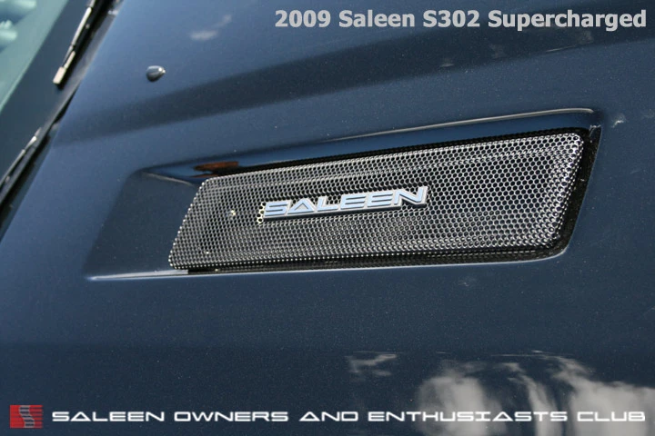 SOECSaleenS302SC_2009_Grille_SN.webp