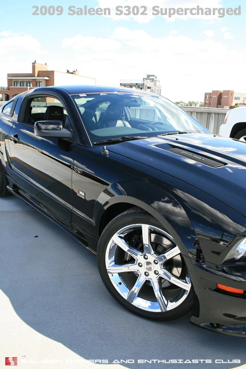 SOECSaleenS302SC_2009_SN.webp