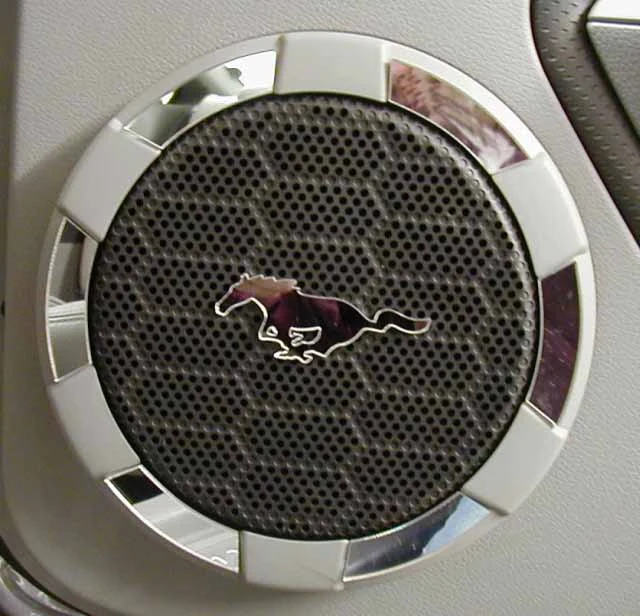 speaker_trim.dm.webp